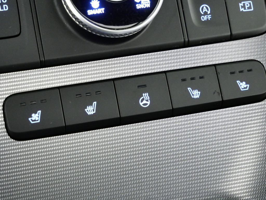 Thumbnail: 2024 Hyundai Palisade - 49