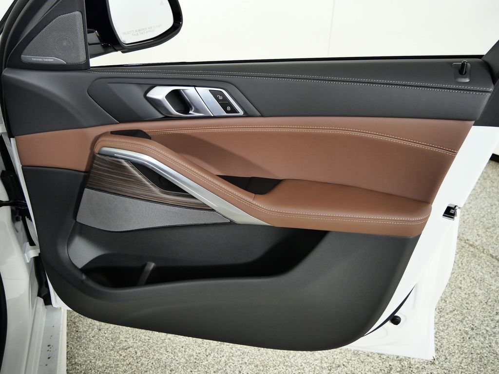 Thumbnail: 2026 BMW X6 - 19