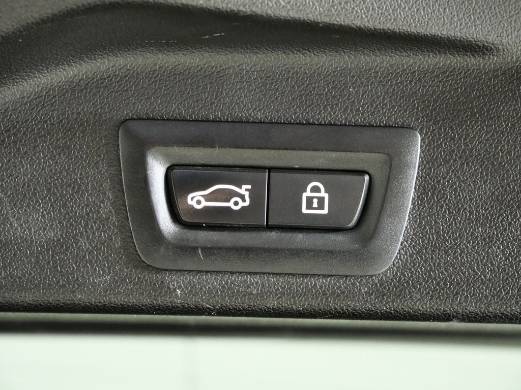 Thumbnail: 2019 BMW X5 - 30