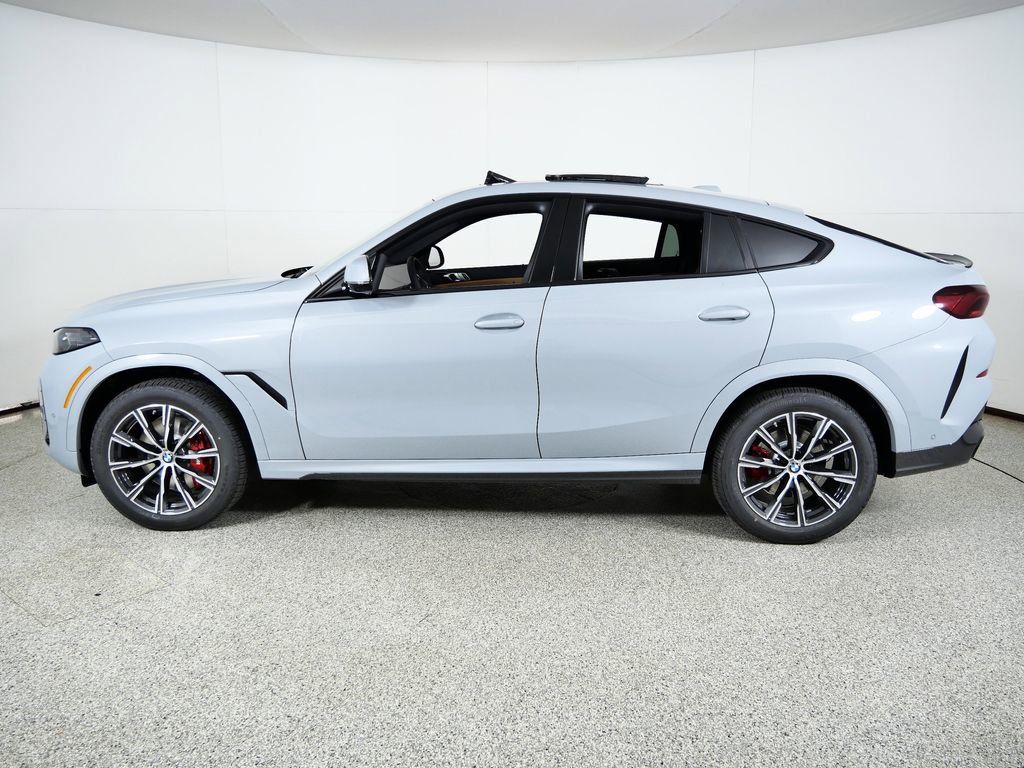 Thumbnail: 2026 BMW X6 - 17