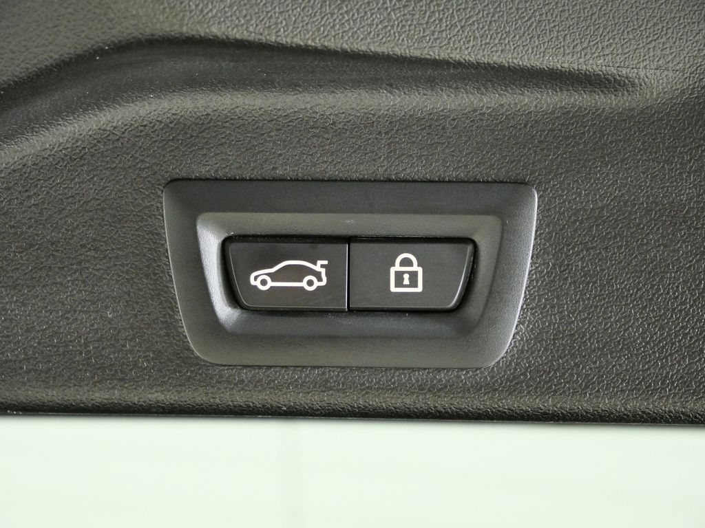 Thumbnail: 2020 BMW X5 - 30