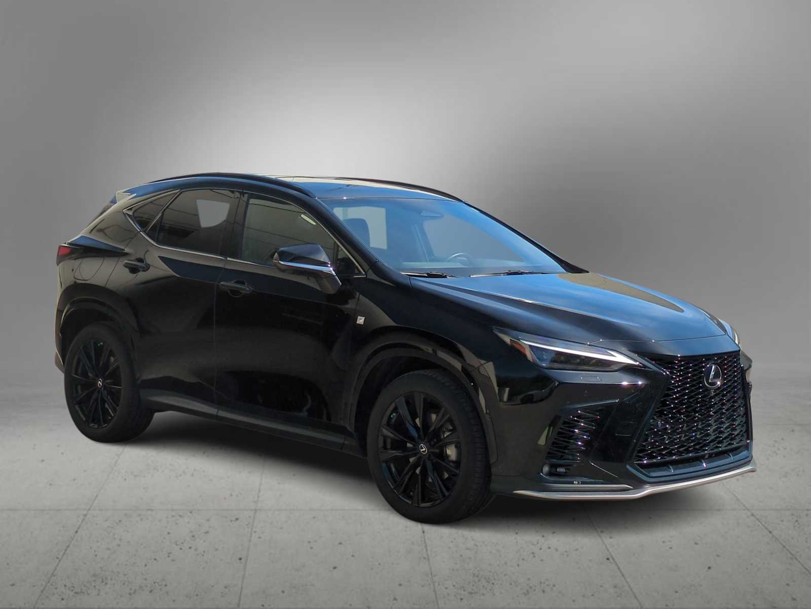 2024 Lexus NX 450h+ F SPORT Handling photo 2