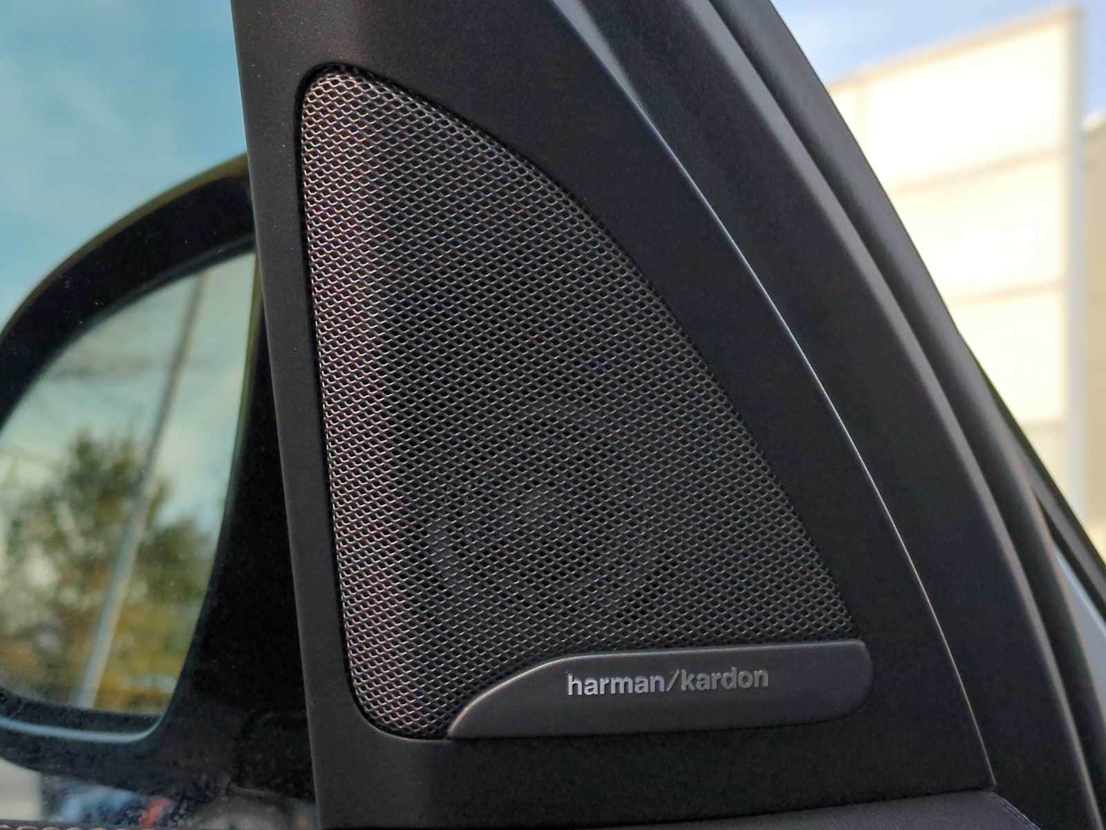 Thumbnail: 2025 BMW X7 - 32