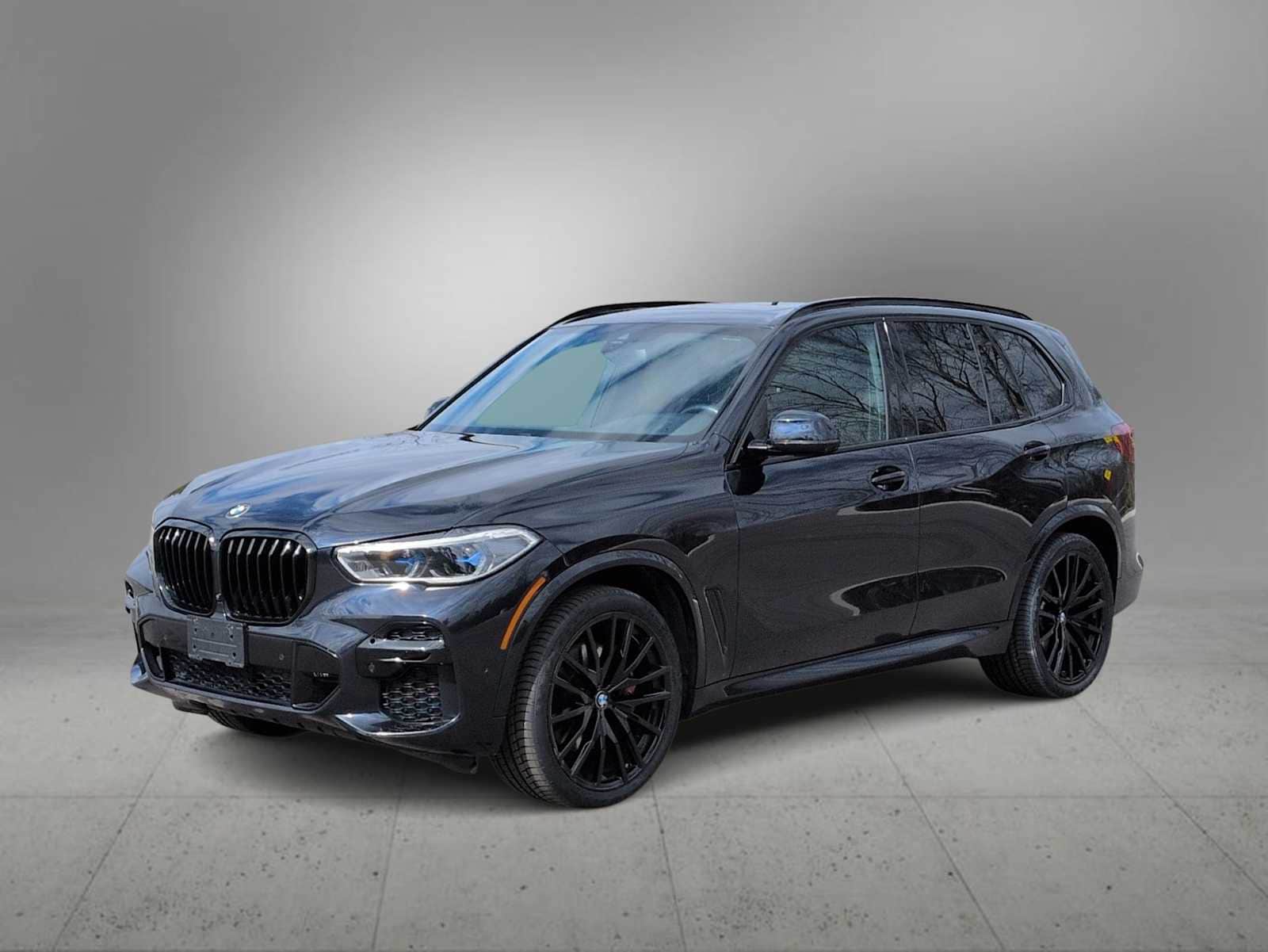 Thumbnail: 2022 BMW X5 - 4