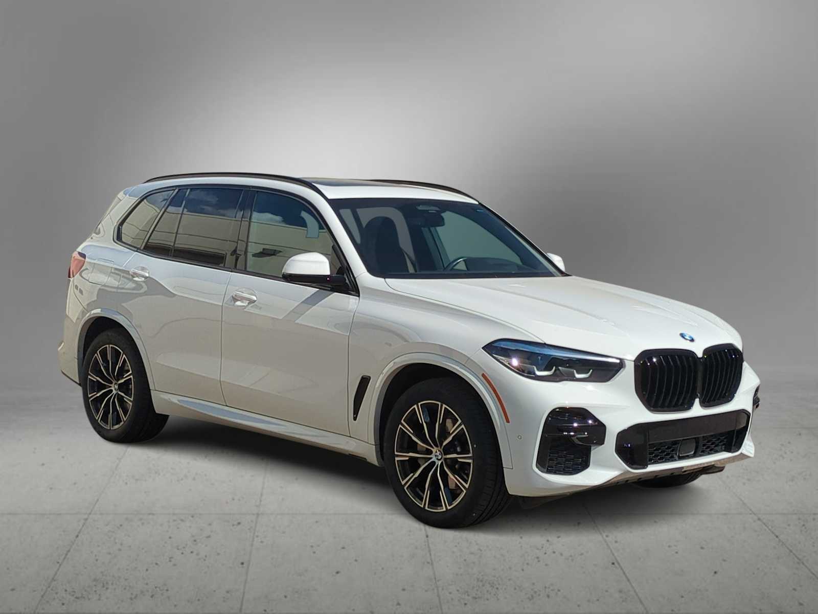 2023 Bmw X5 xDrive40i photo 2