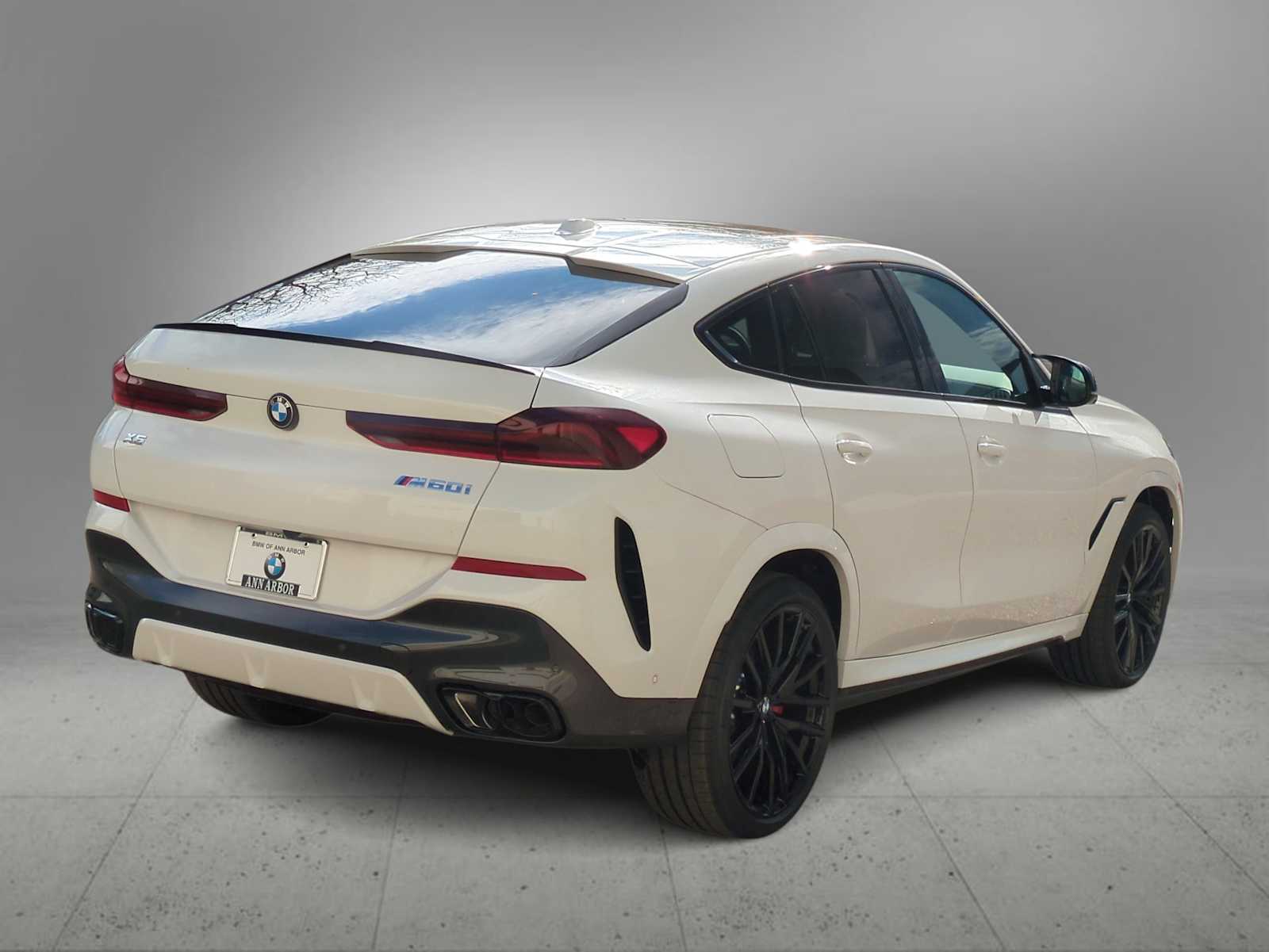 Thumbnail: 2026 BMW X6 - 8
