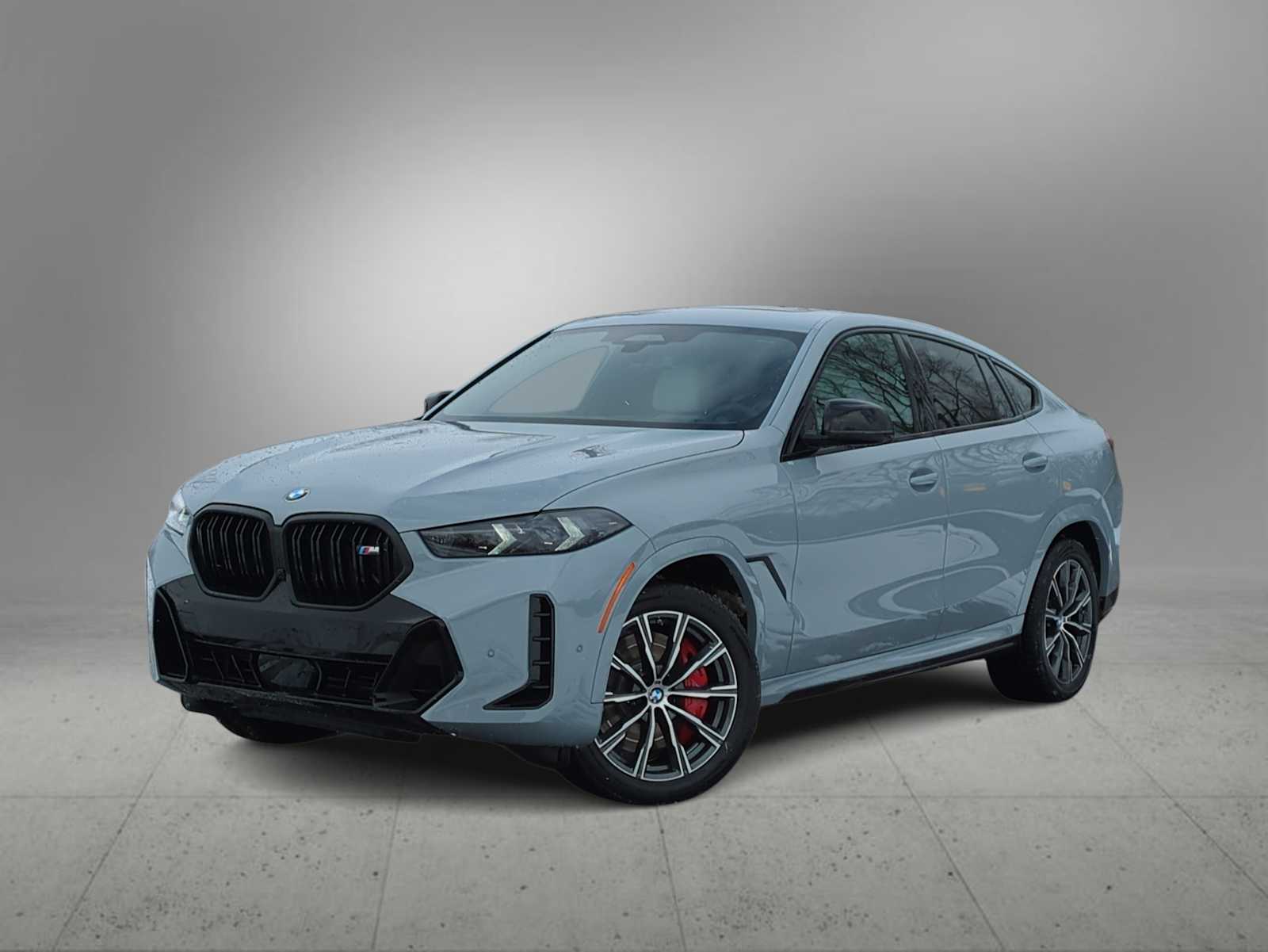 Thumbnail: 2026 BMW X6 - 1