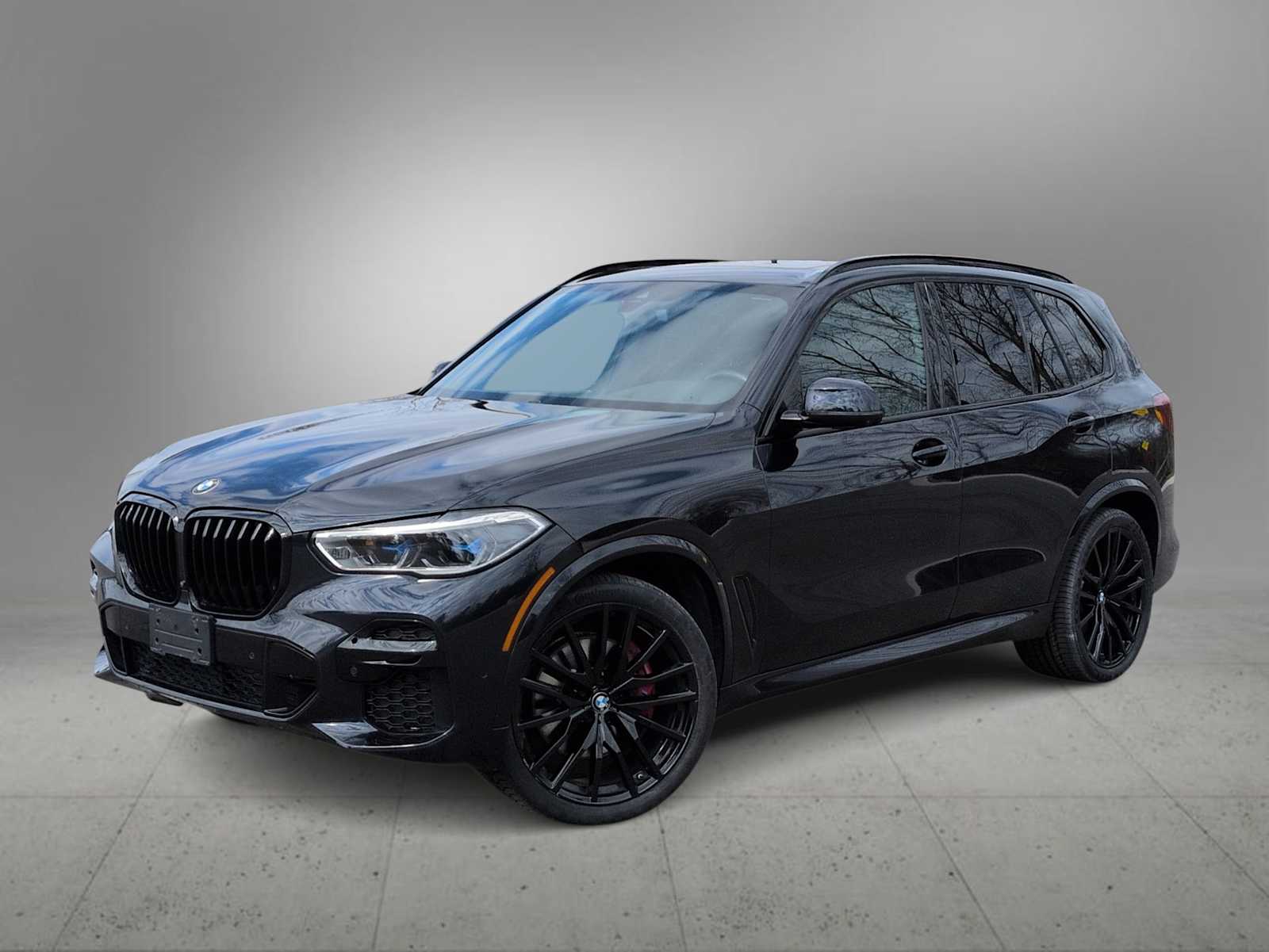 Thumbnail: 2022 BMW X5 - 1