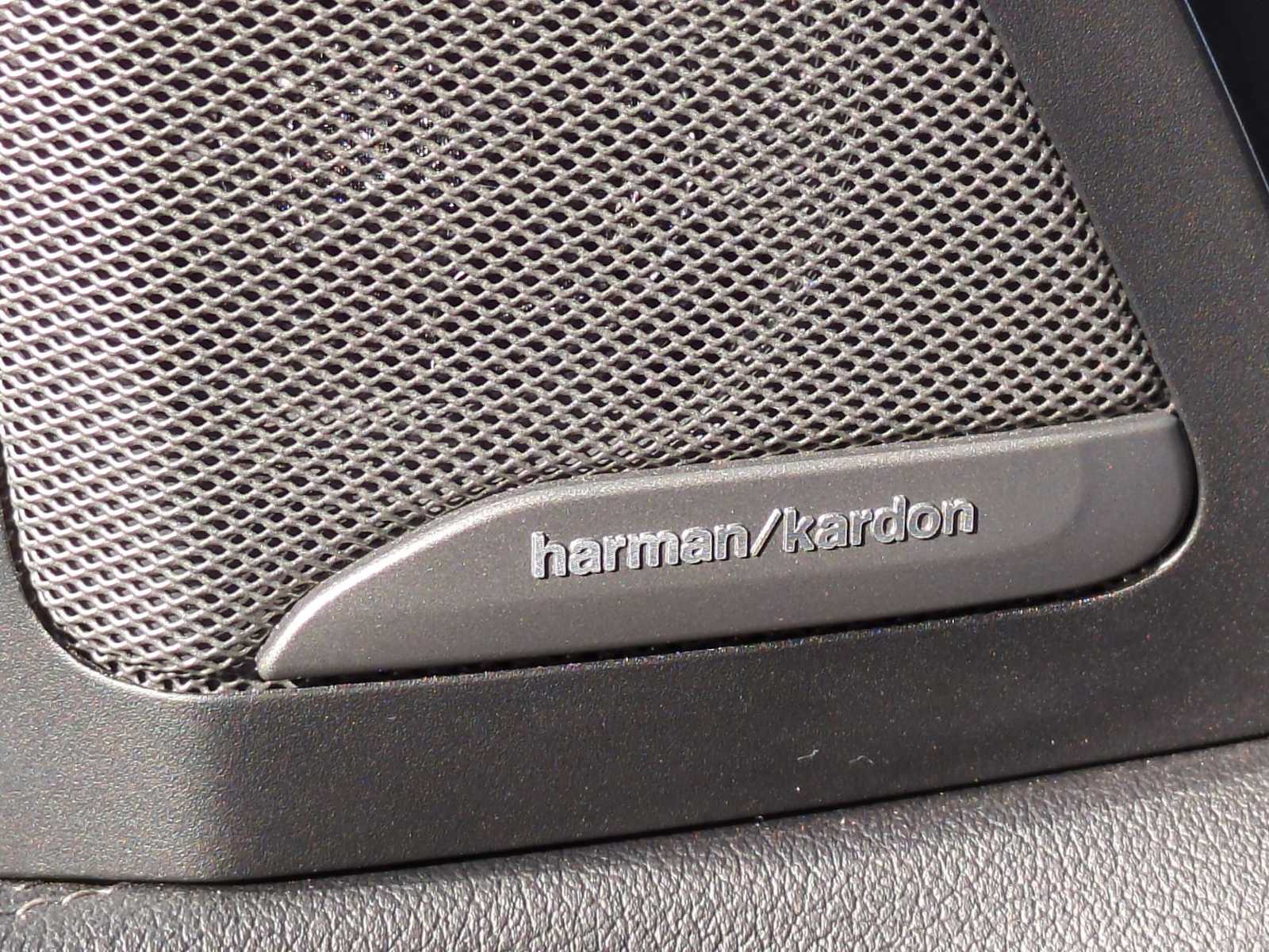 Thumbnail: 2020 BMW X7 - 33