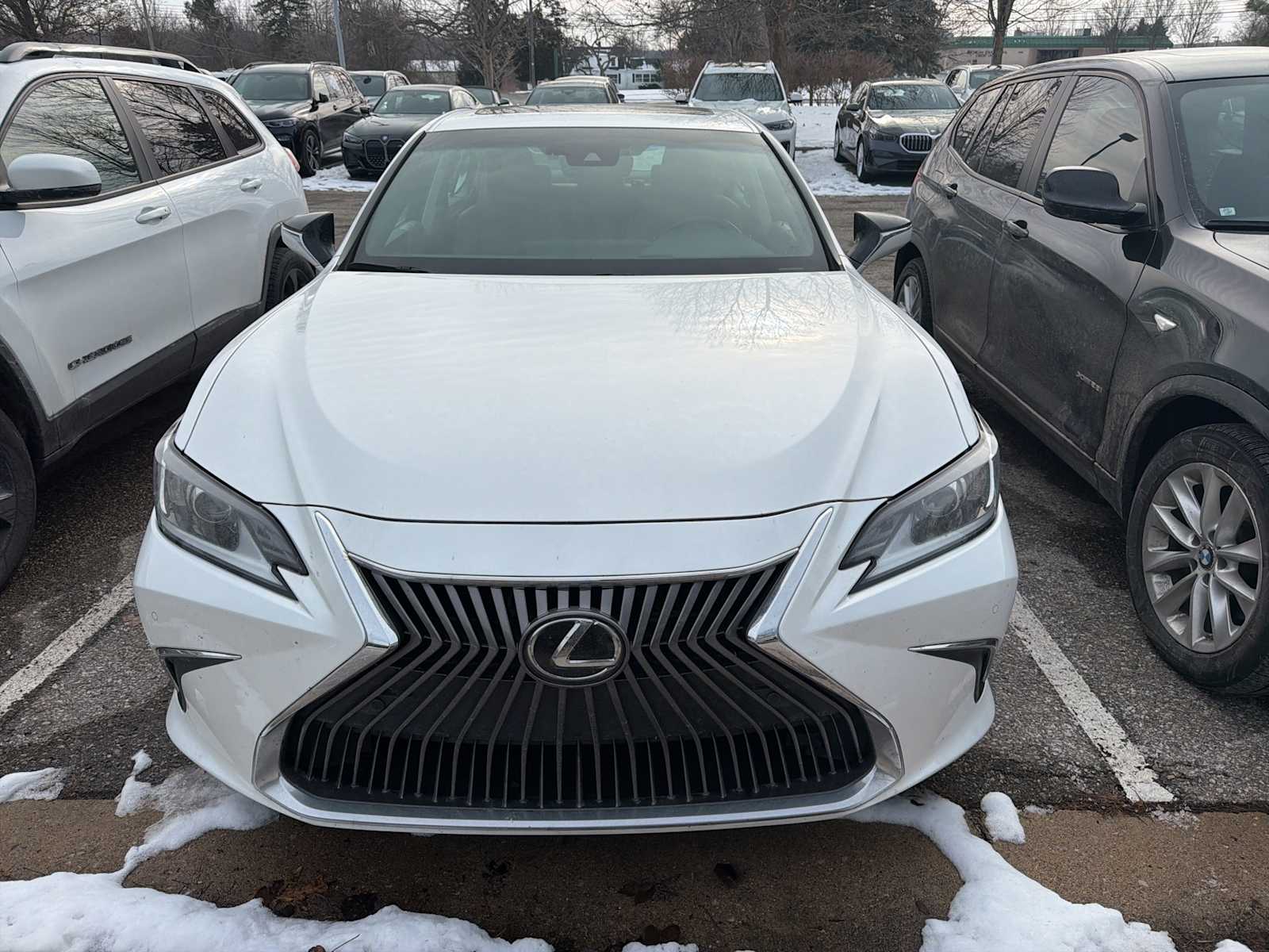 2019 Lexus ES 350's photo