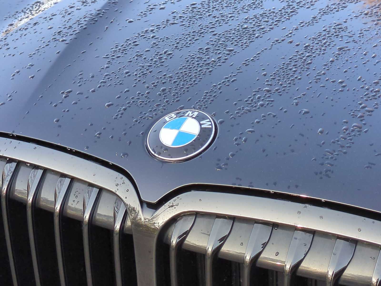 Thumbnail: 2020 BMW X7 - 12