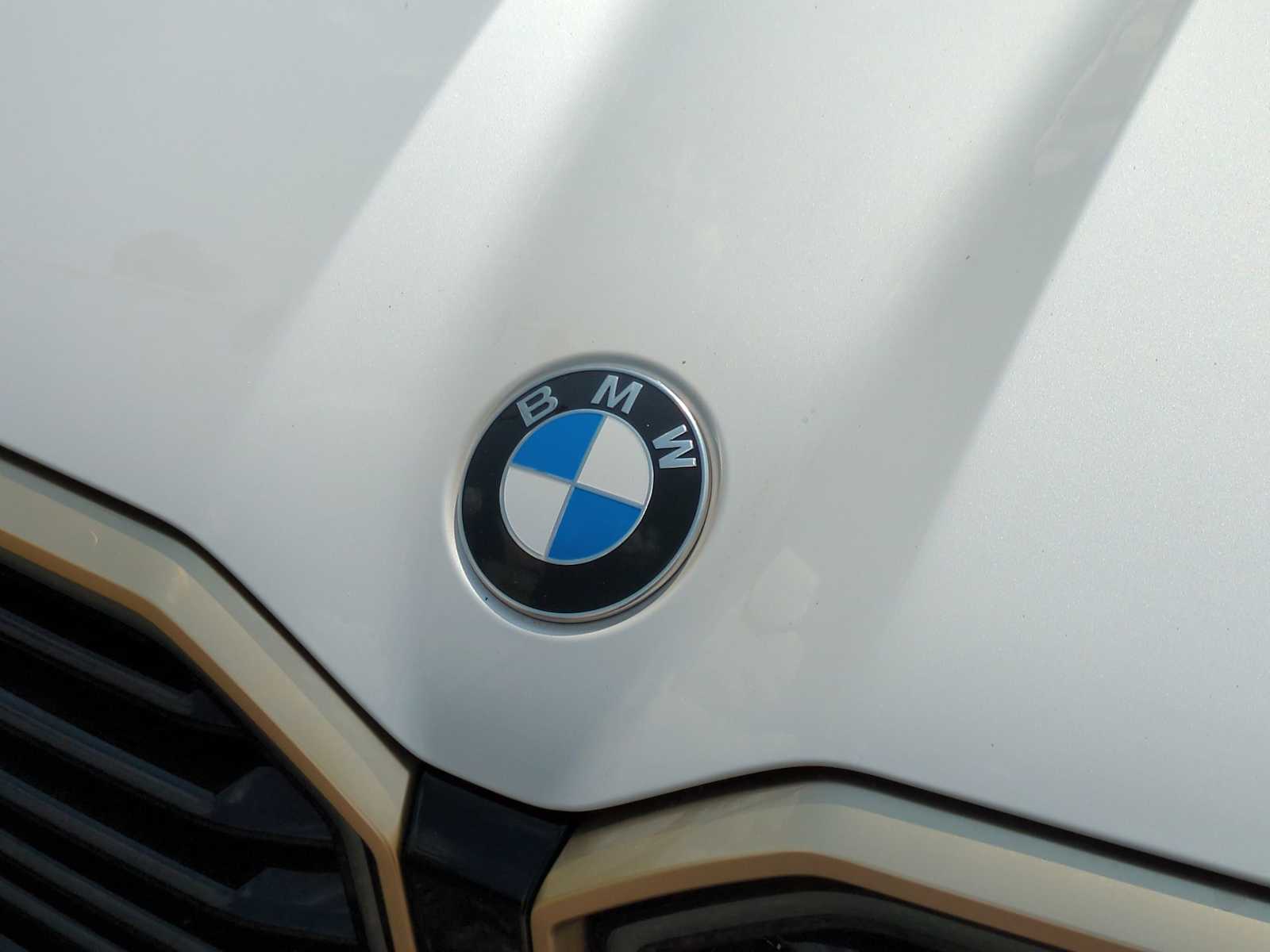 Thumbnail: 2023 BMW XM - 12