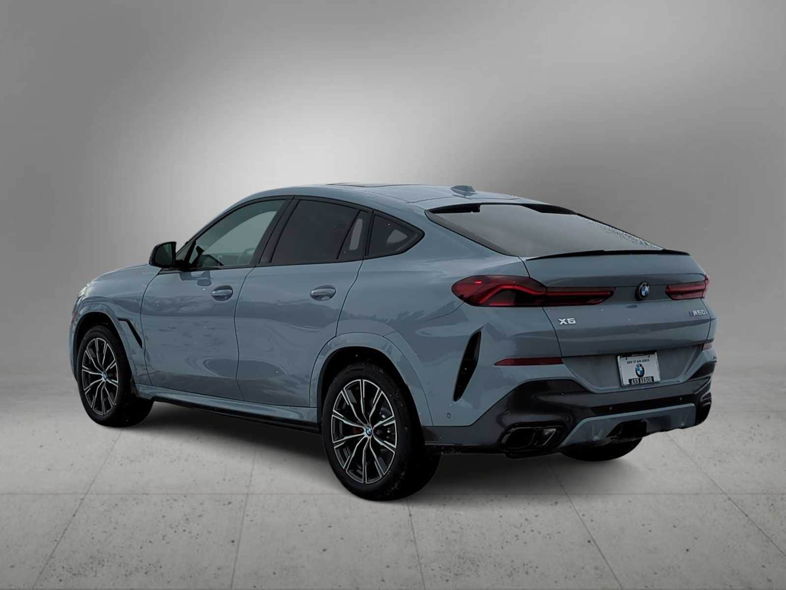 Thumbnail: 2026 BMW X6 - 6