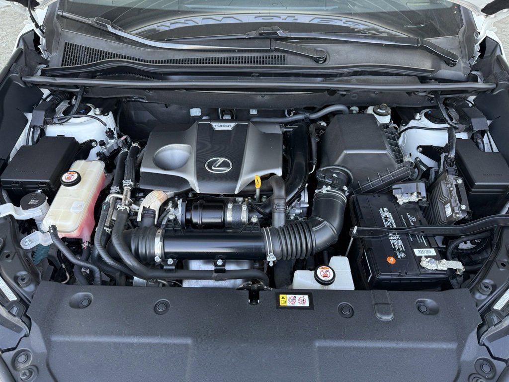 View 24