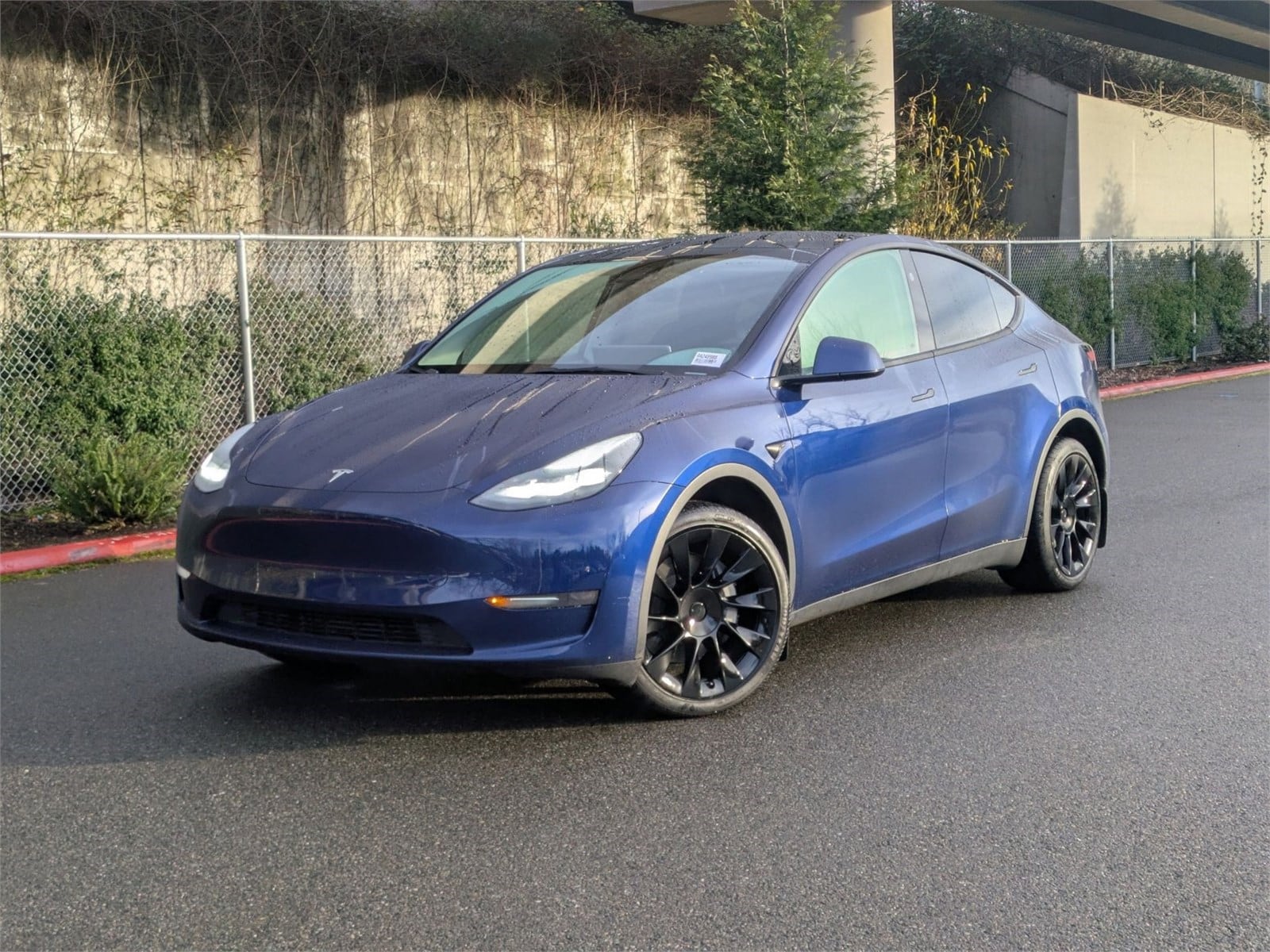 2024 Tesla Model Y Long Range's photo