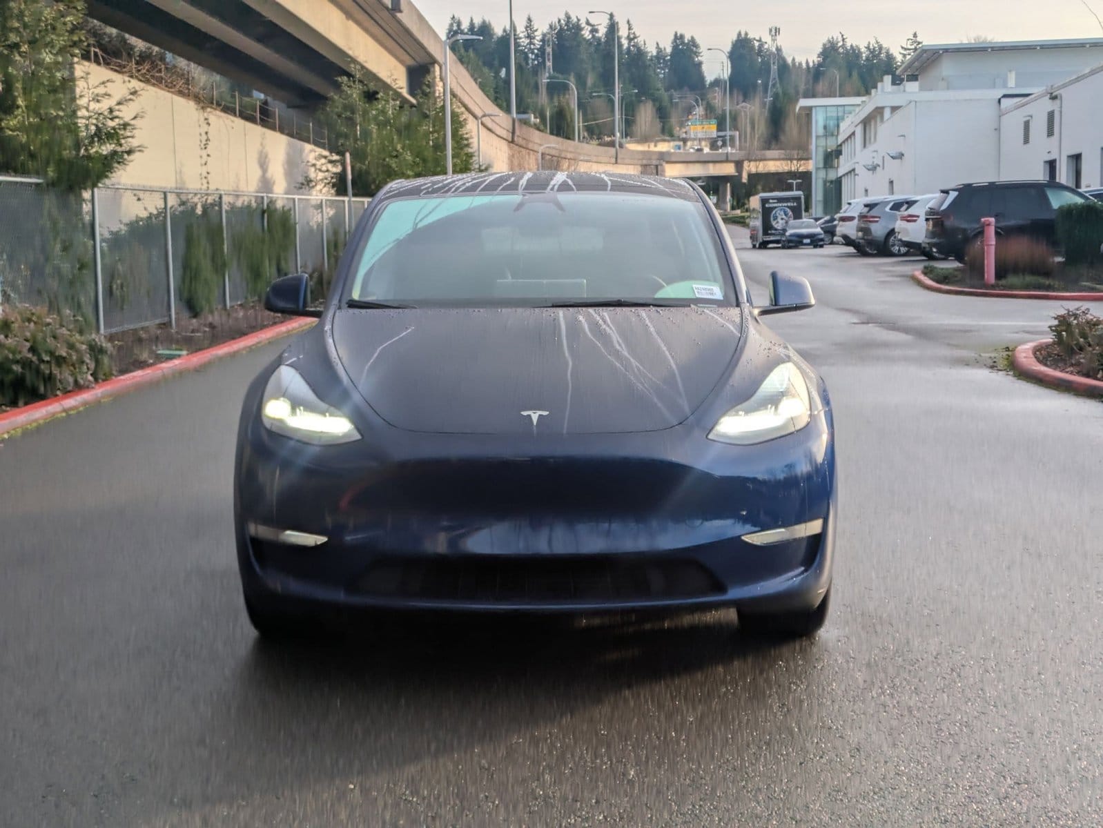 Used 2024 Tesla Model Y Long Range with VIN 7SAYGDEE8RA248988 for sale in Bellevue, WA