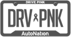 AutoNation DRVPNK icon