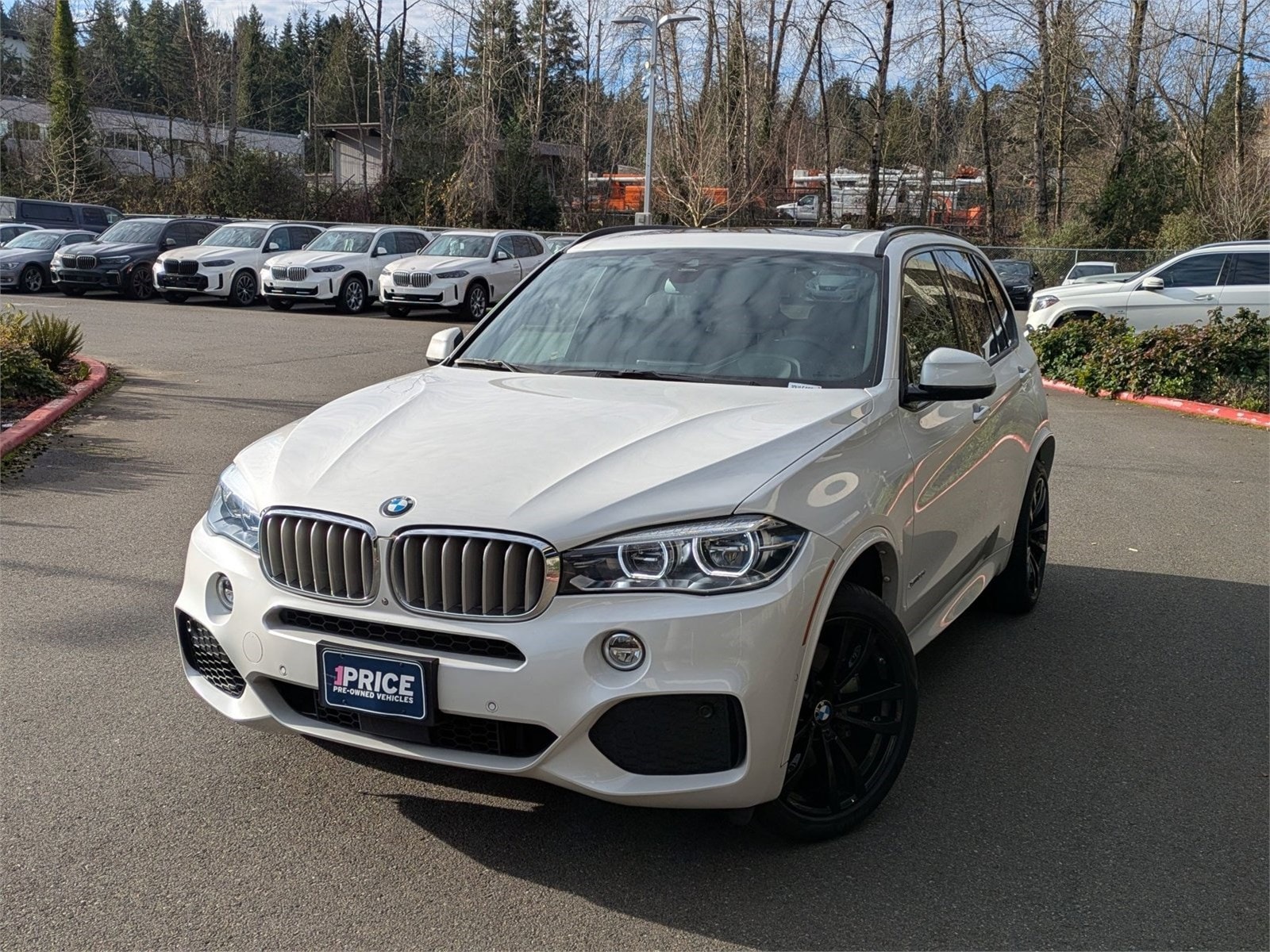 2018 BMW X5 xDrive50i's photo