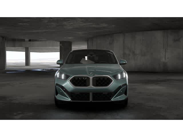 Thumbnail: 2025 BMW X2 - 3