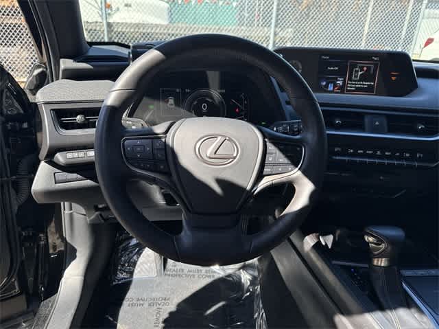 2019 Lexus UX 250h 10