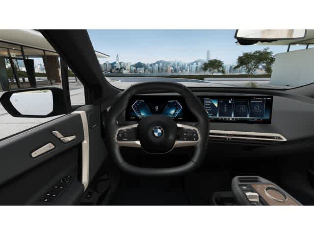 Thumbnail: 2026 BMW iX - 13