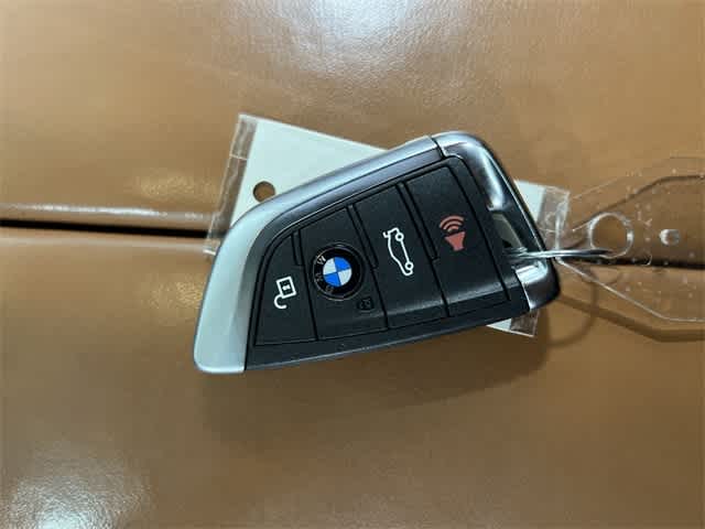 Thumbnail: 2019 BMW X6 - 33