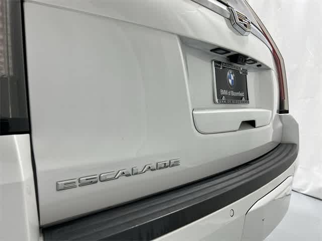 Thumbnail: 2019 Cadillac Escalade - 17