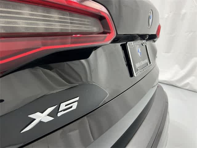 Thumbnail: 2019 BMW X5 - 17