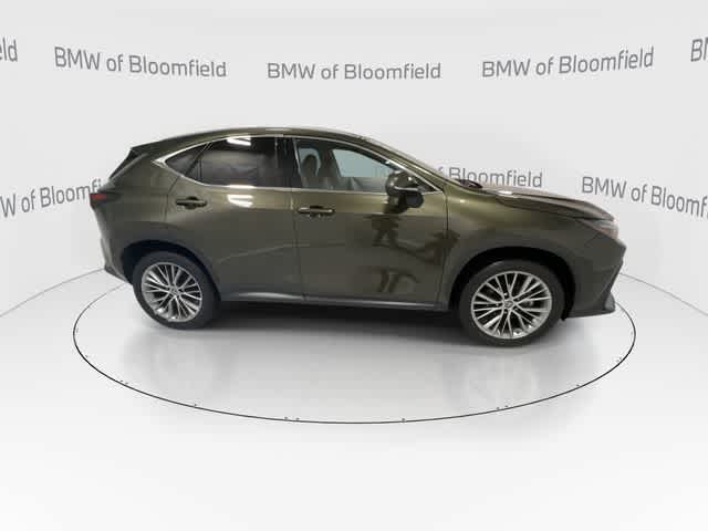 Thumbnail: 2023 Lexus NX - 9