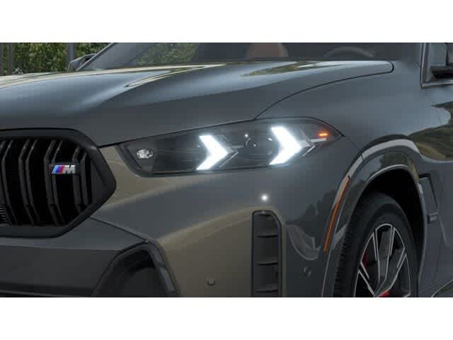 Thumbnail: 2026 BMW X6 - 6