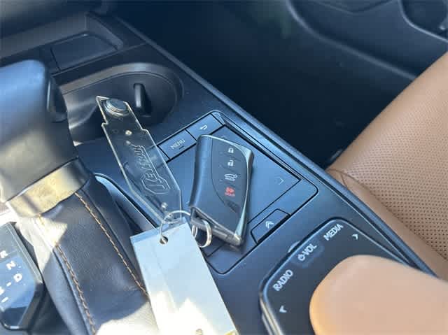 2019 Lexus UX 250h 15