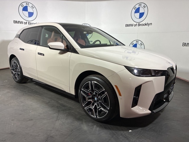 2026 BMW iX 60's photo