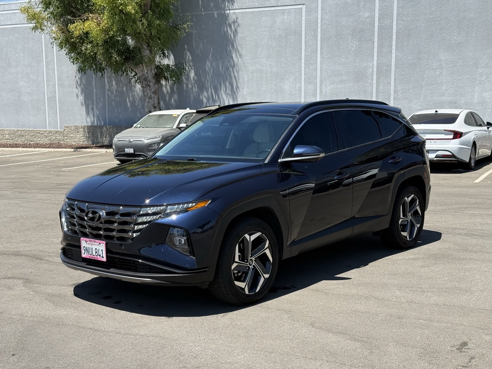 Used 2024 Hyundai Tucson Hybrid Limited SUV