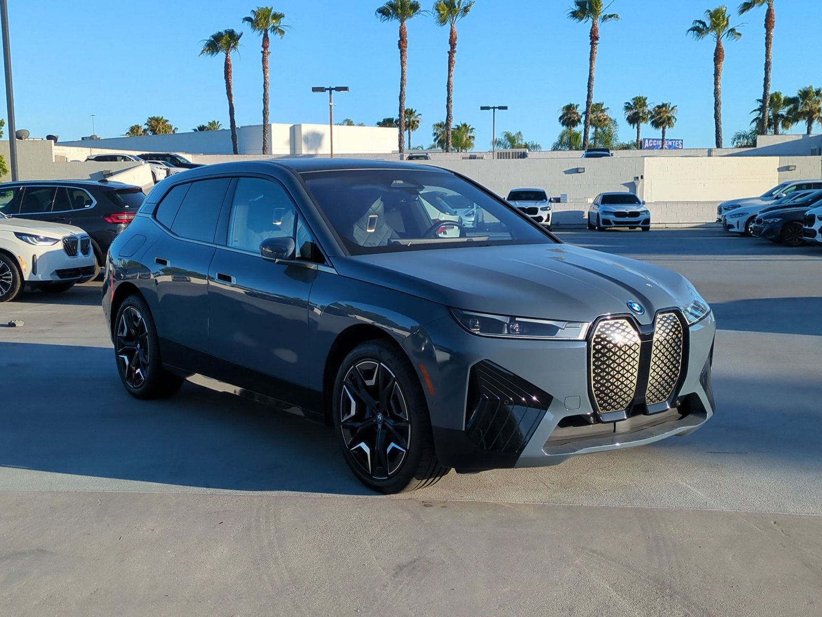 2023 BMW iX xDrive50 photo 2
