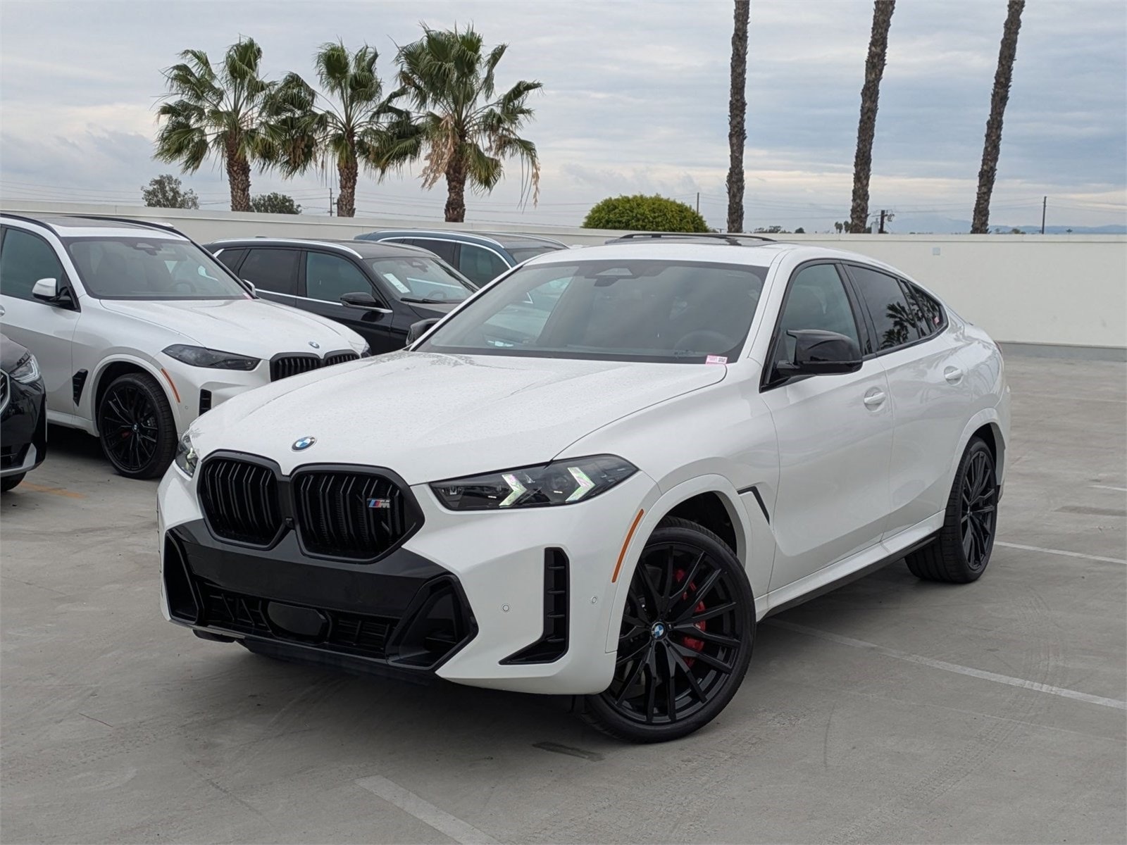 2026 BMW X6 M60i's photo