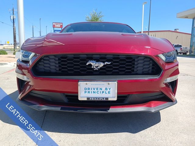 Used 2019 Ford Mustang EcoBoost Premium with VIN 1FA6P8TH1K5143024 for sale in Corpus Christi, TX