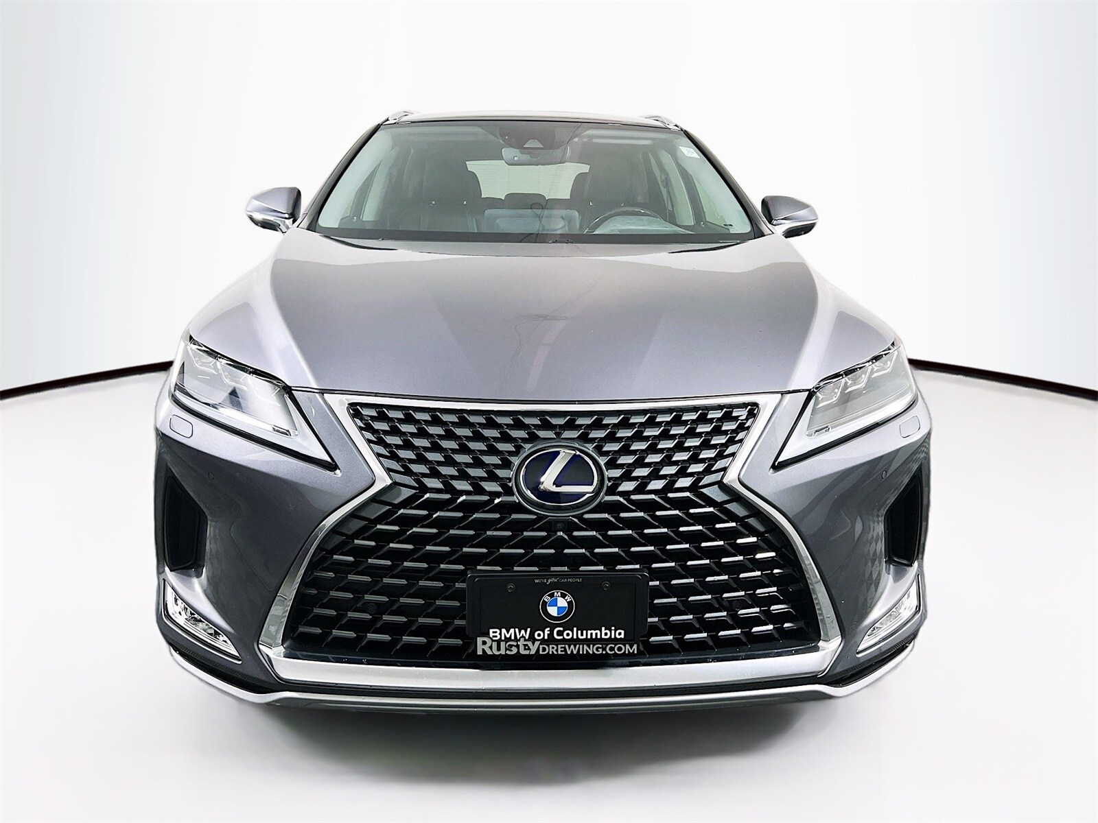 2022 Lexus RX 450h photo 2