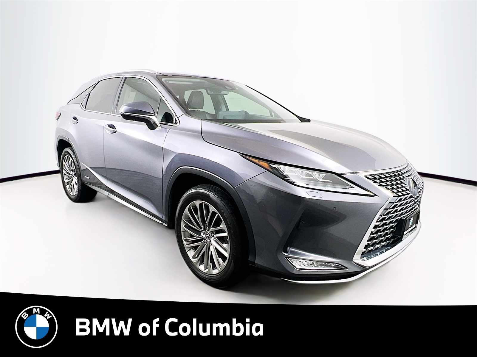 2022 Lexus RX Hybrid 450h's photo