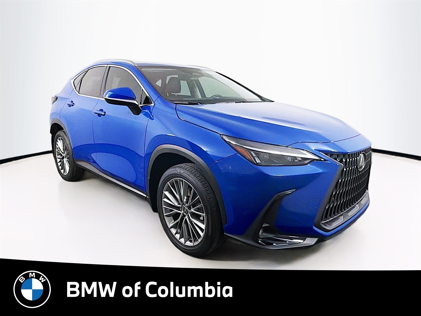 2025 Lexus NX Hybrid 350h's photo