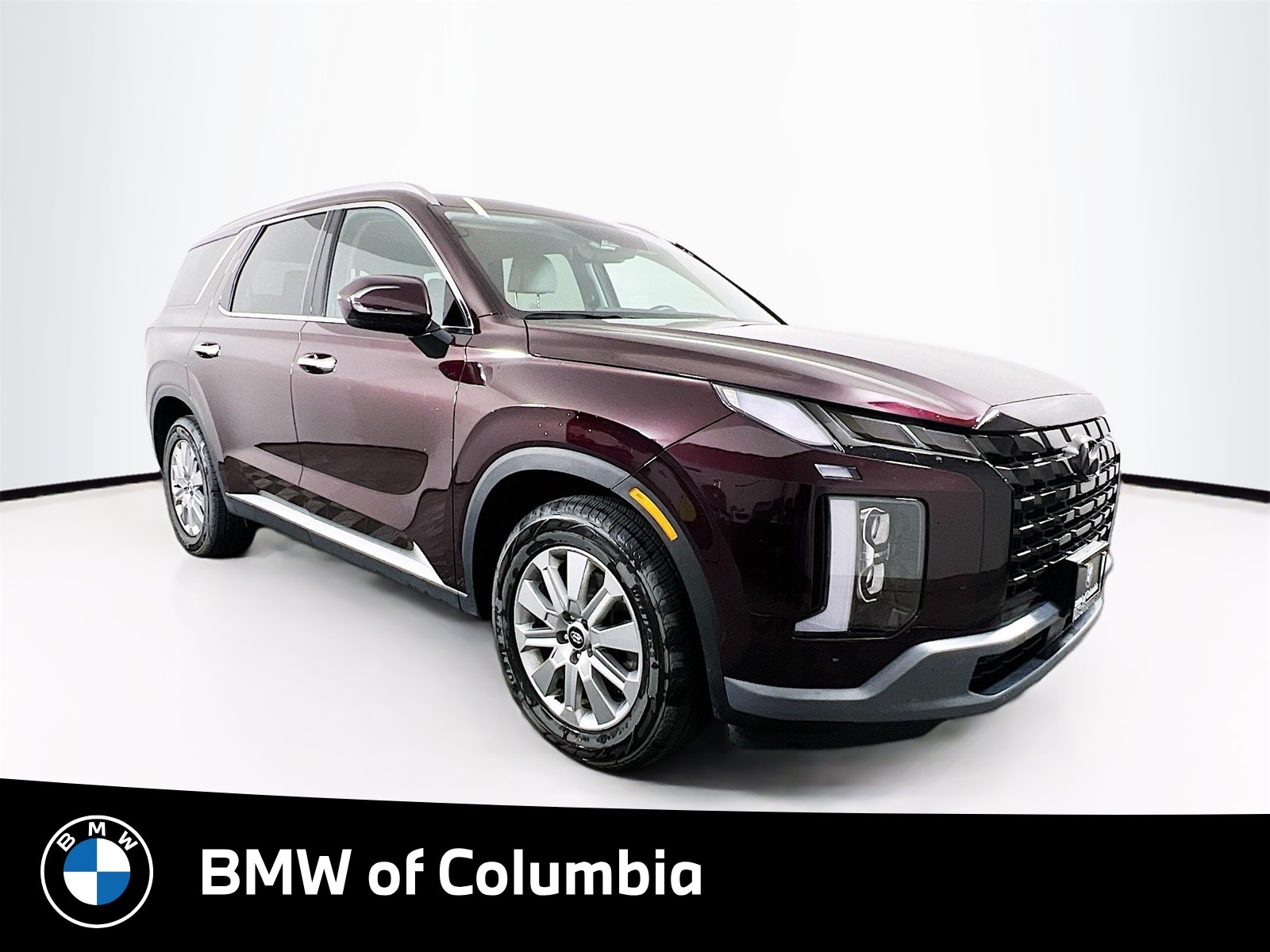 2024 Hyundai Palisade SEL's photo