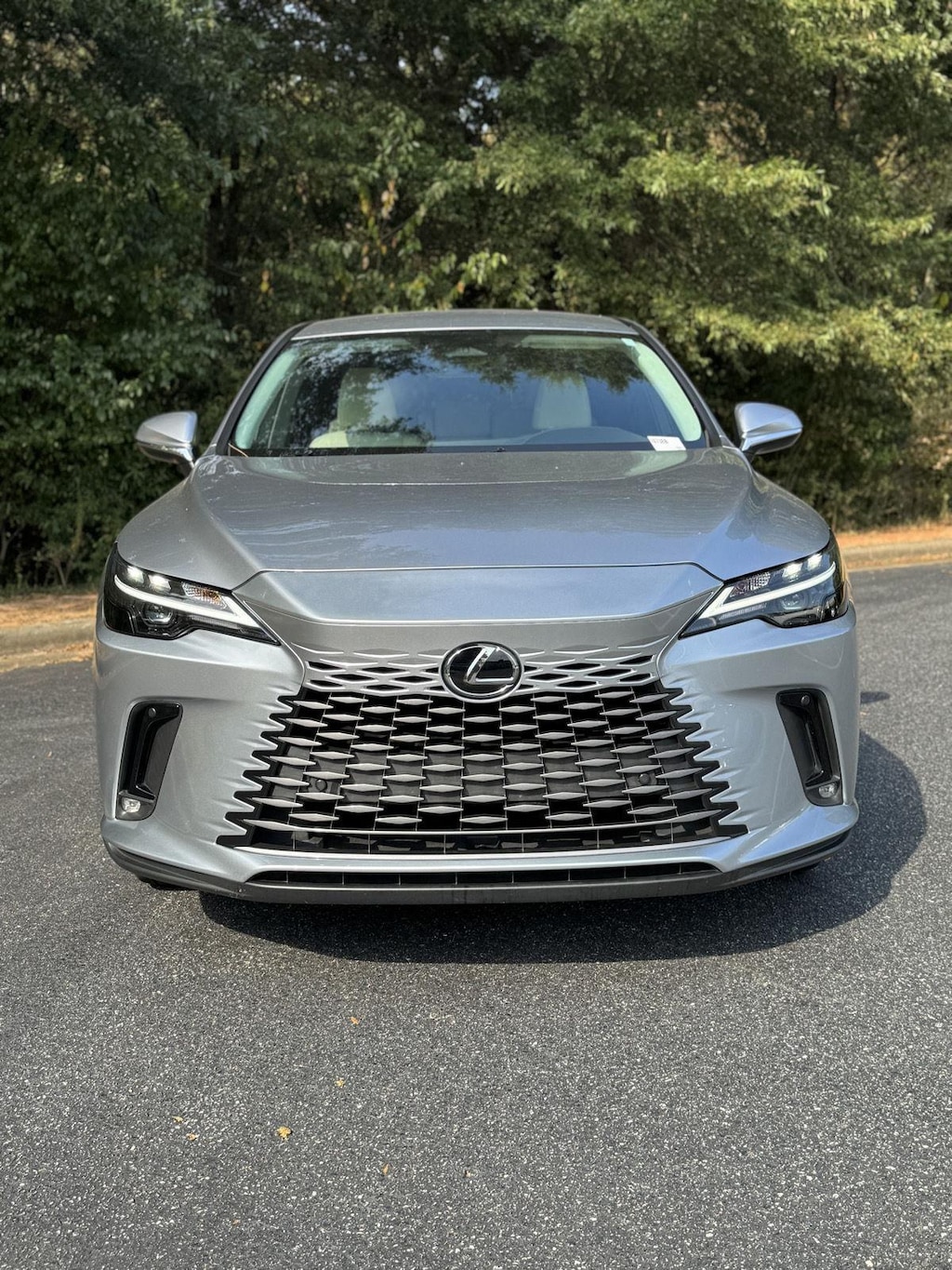 2023 Lexus RX 350 Premium photo 2