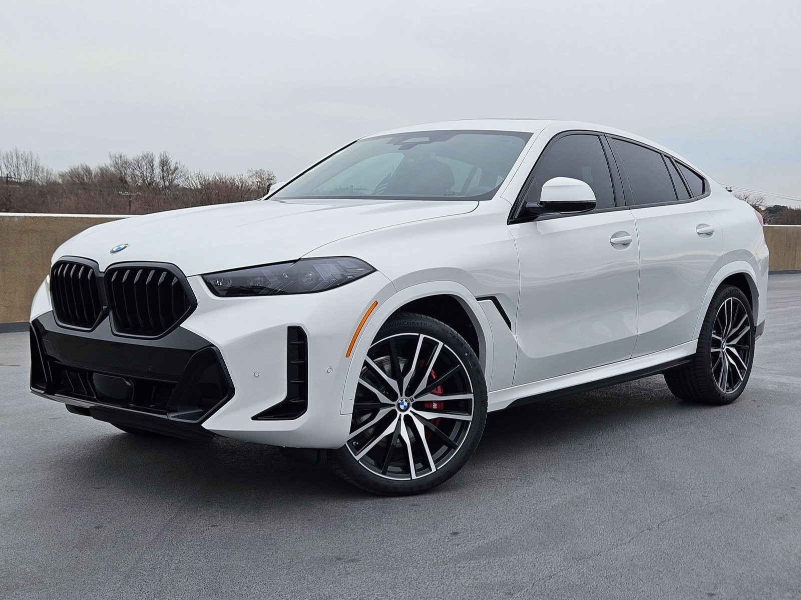 2026 BMW X6