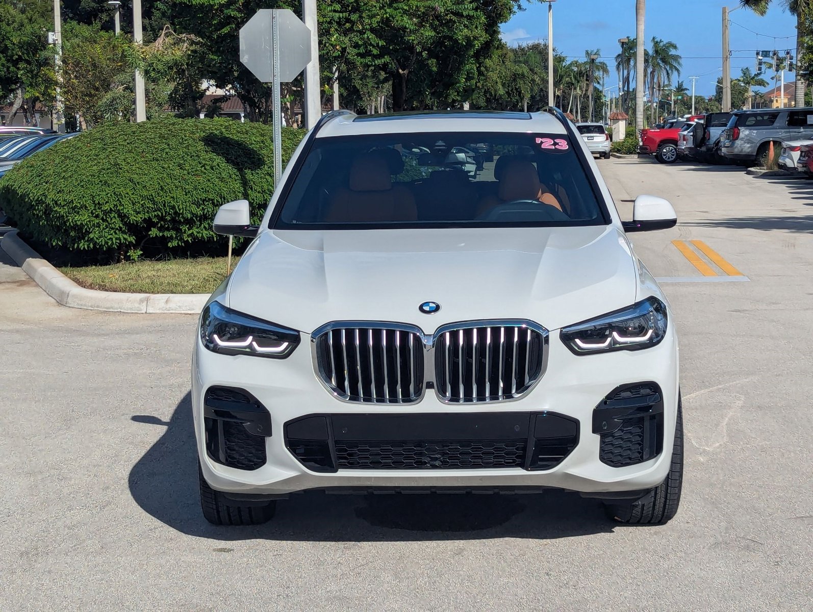 2023 Bmw X5 sDrive40i photo 2