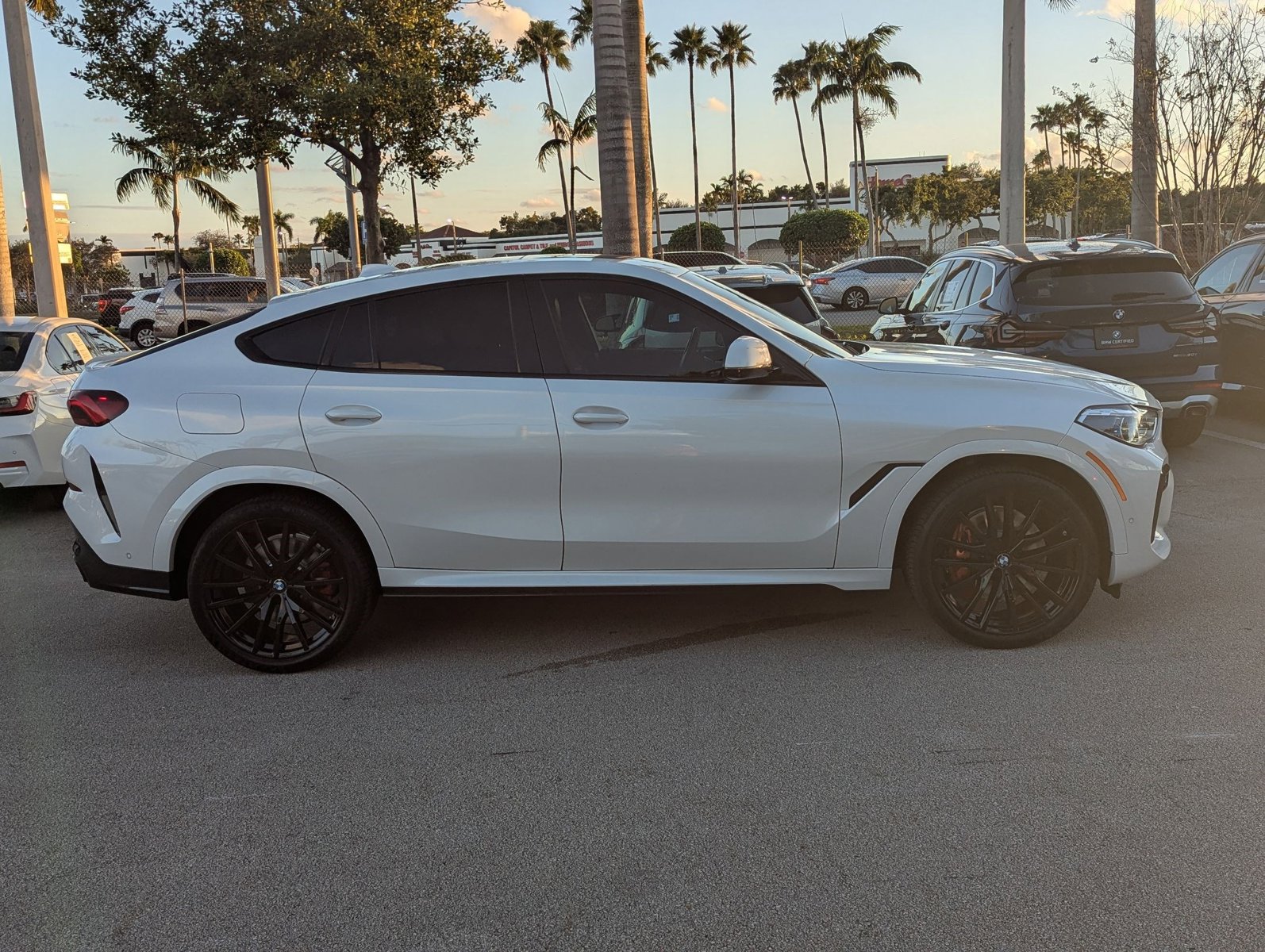 2023 Bmw X6 M50i photo 4