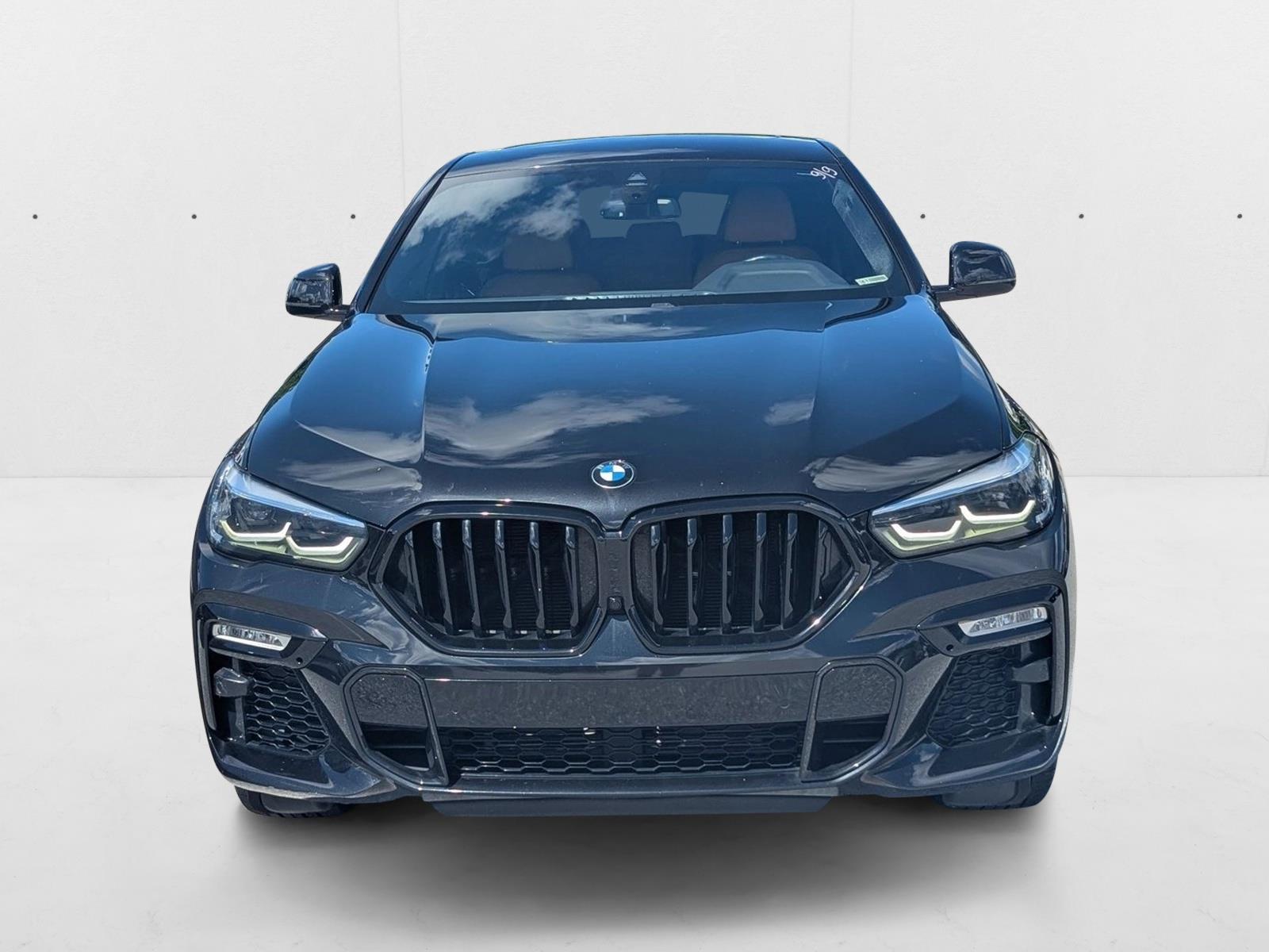 2021 Bmw X6 sDrive40i photo 2
