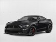 Ford Shelby GT500
