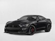 Ford Shelby GT500