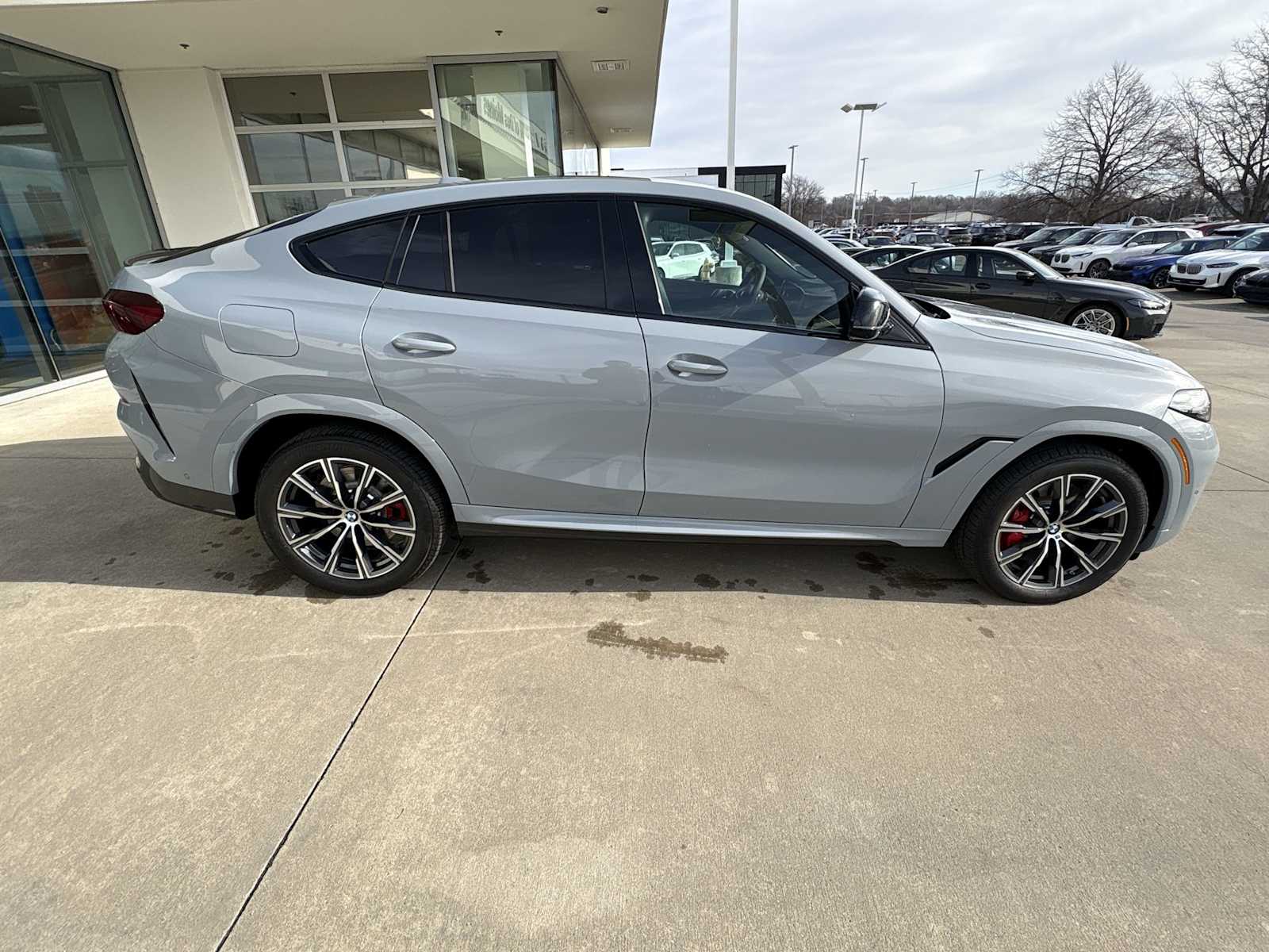 Thumbnail: 2026 BMW X6 - 15