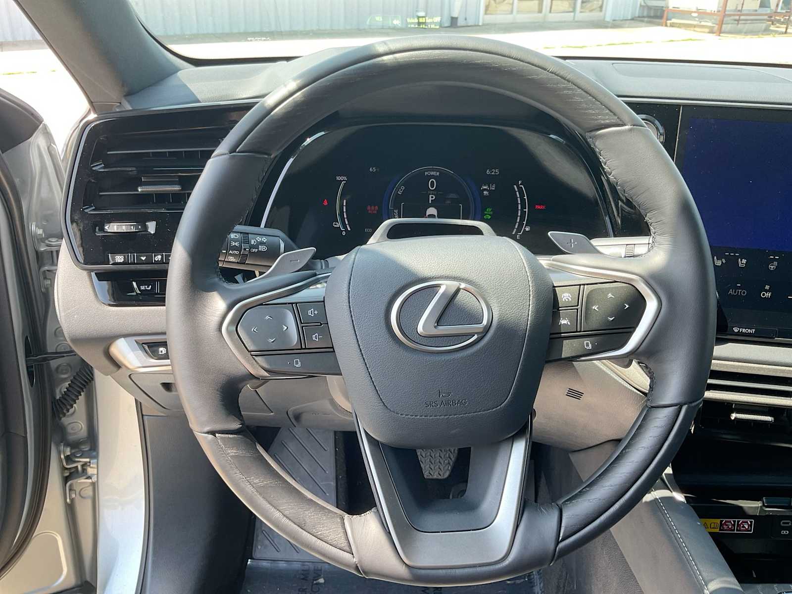 2024 Lexus RX  25
