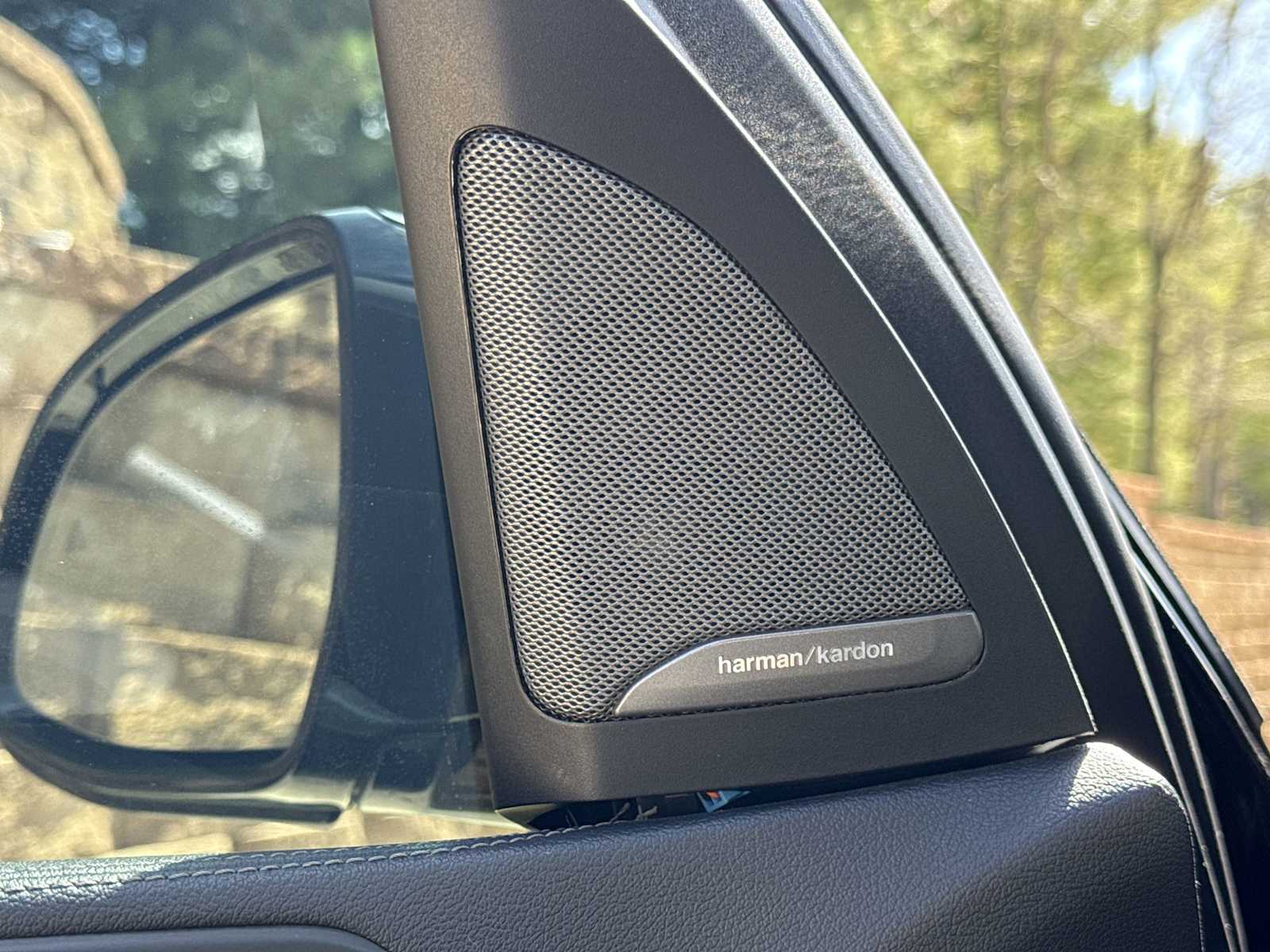 Thumbnail: 2019 BMW X7 - 33